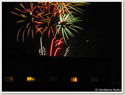 fireworks-03.jpg