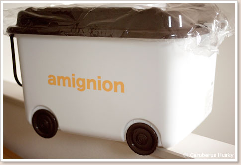 amignion-01.jpg