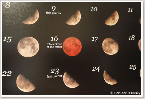 月のカレンダー