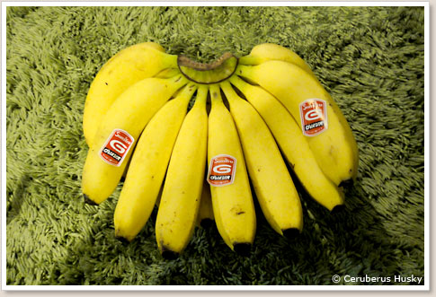 バナナは100円