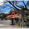 千葉神社に御札を納めに行ってみよう